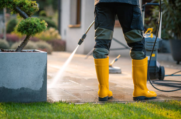 Best Affordable Pressure Washing  in West Milton, OH
